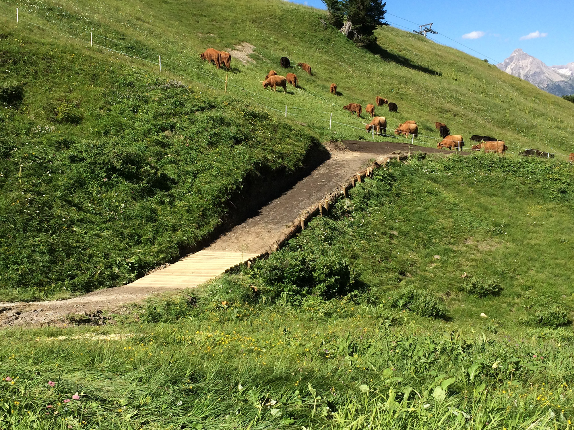 RadCompany Slideshow